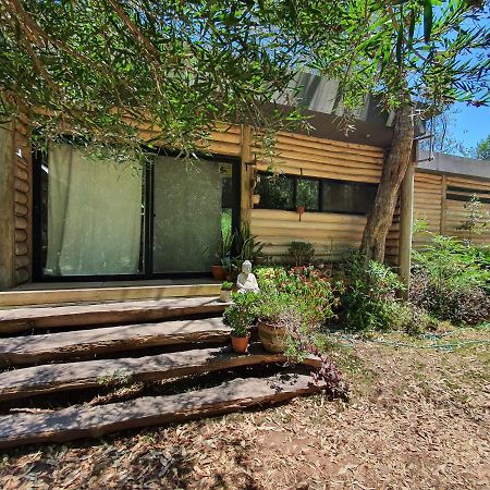 Chalet Los Troncos Sauce de Portezuelo Zewnętrze zdjęcie