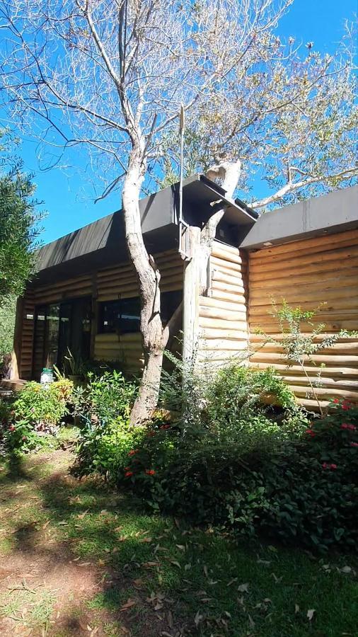 Chalet Los Troncos Sauce de Portezuelo Zewnętrze zdjęcie