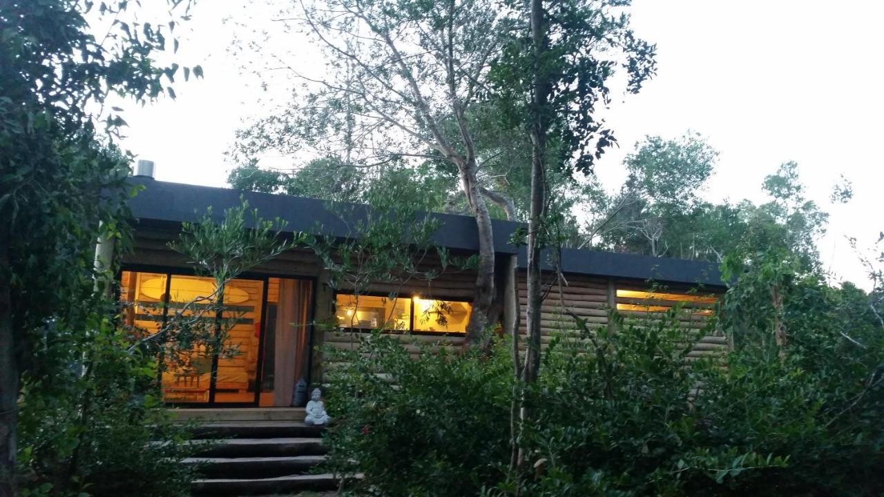 Chalet Los Troncos Sauce de Portezuelo Zewnętrze zdjęcie