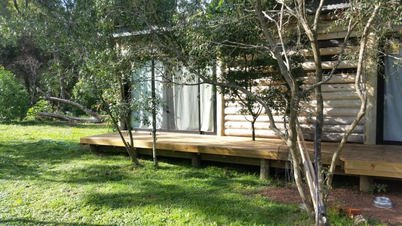 Chalet Los Troncos Sauce de Portezuelo Zewnętrze zdjęcie
